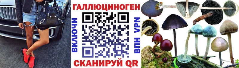 хочу наркоту  Всеволожск  Галлюциногенные грибы GOLDEN TEACHER 
